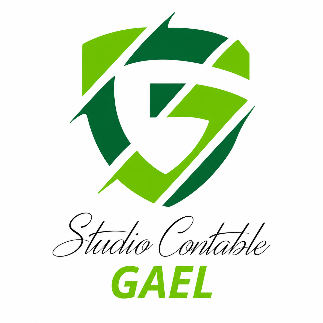 Studio Contable GAEL