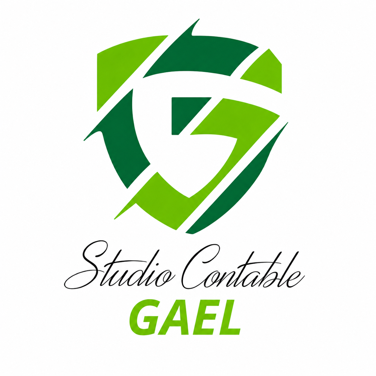 Studio Contable GAEL